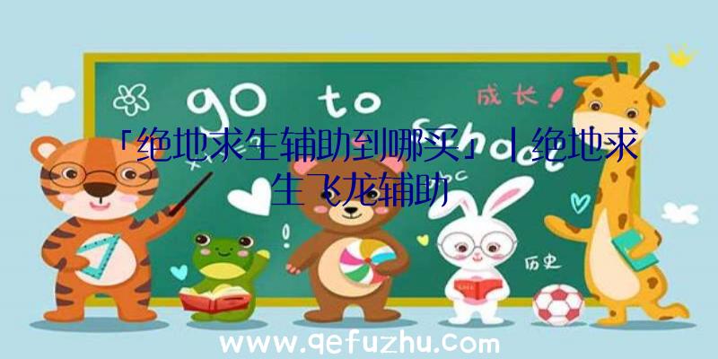 「绝地求生辅助到哪买」|绝地求生飞龙辅助